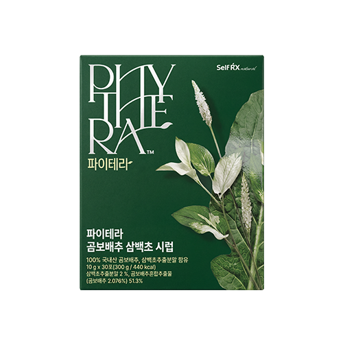 파이테라 곰보배추 삼백초 시럽
